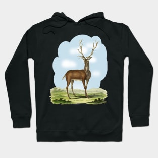 Deer Illustratuion Hoodie